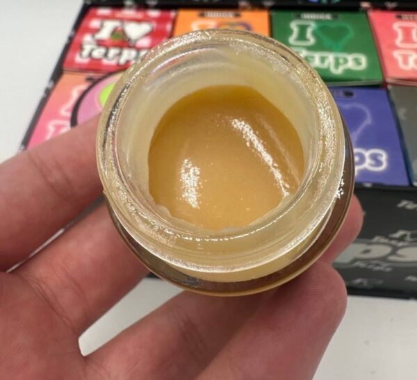 I Love Terps