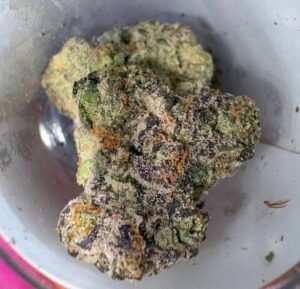 Jungle Boys Weed