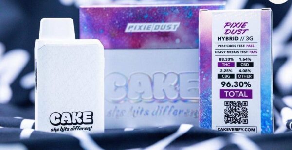 Cake She Hits Different 3G Disposable