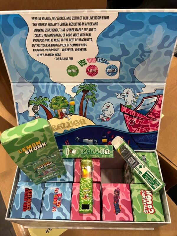 Beluga 3G Disposable