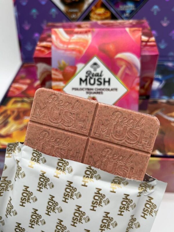 REAL MUSH 4G MUSHROOM BARS