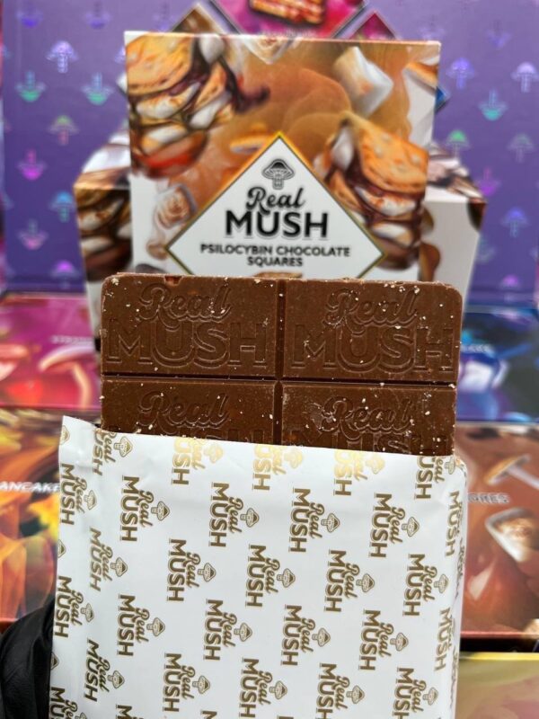 REAL MUSH 4G MUSHROOM BARS