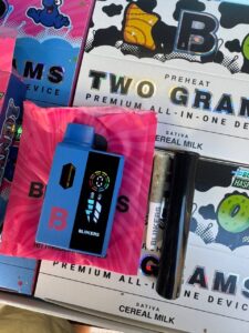 NEW BLINKERS 2G DISPOSABLE WITH HASH HOLE